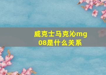 威克士马克沁mg 08是什么关系